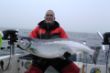 Lachs_Gräb_20-5kg